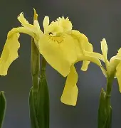 F(6骩攢?調?种疁晤屐&qbi4嬷|玟€[C?葤?啊逩3毩的简单介绍